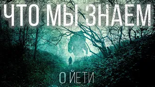 Снежный человек: миф или реальность | Факты