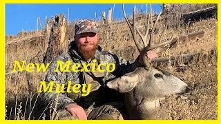 A New Mexico Mule Deer Hunt - American Safari 2.0 - Episode 6