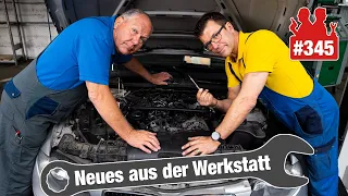 Reißt sie ab?? 😖😖 Glühkerzen-Drama im 1er BMW - mit Endoskop und viel Geduld!