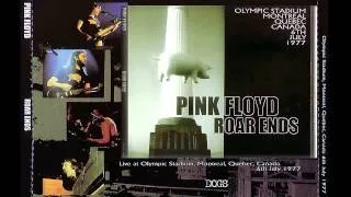 Pink Floyd - Dogs (1977)
