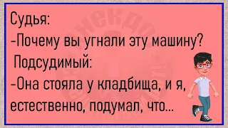 💎Сельский Магазинчик С Прилавком...Большой Сборник Смешных Анекдотов,Для Супер Настроения!