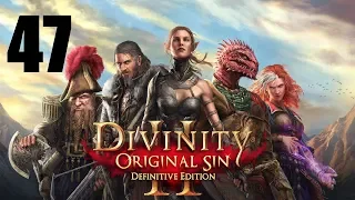 Let's Platinum Divinity Original Sin 2 ► 47