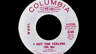 Wool -  I Got The Feeling (1972)