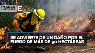 Oaxaca en llamas: Comuneros combaten incendios en Mazaltepec