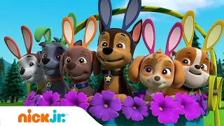 Щенячий патруль | Щенячий патруль спасает шоу фокусов | Nick Jr. Cyrillic