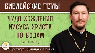 Чудо хождения Иисуса Христа по водам (Ин. 6:15-27) Протоиерей Димитрий Юревич