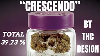 CRESCENDO BY THC DESIGN HIGHEST TESTING THC % ON THIS CHANNEL