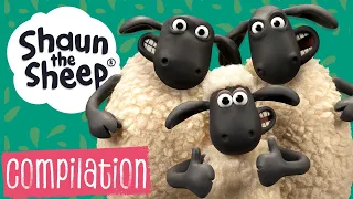 Full Episodes 36-40 | Shaun the Sheep S2 Compilation
