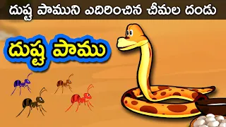 Dushta Paamu | Telugu Stories for kids | Panchatantra Telugu Kathalu | Moral story in Telugu