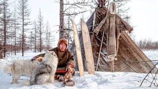 How the Nenets take care of tundra | Facts