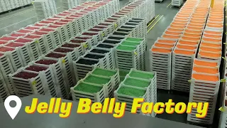 Jelly Belly Factory Tour - Jelly Beans - Fairfield - Disney - Frozen - Candy - Candy factory