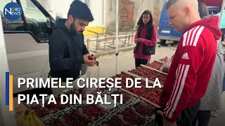 Primele cireșe pe tarebele din Bălți