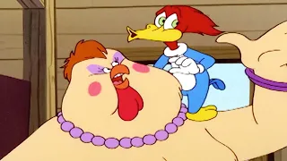 Woody Woodpecker | Woody VS Attila the Hen | Full Episode