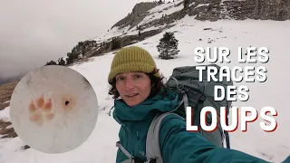 On the wolves’ tracks! 3 day hike in Dévoluy (tarp tent and night in a hut)