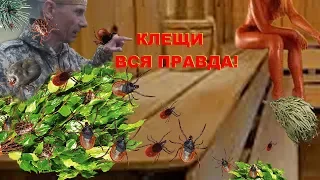 Клещи! Как Вам Врут! 100% Защита от клещей. Клещ укусил Как Выжить. Как вытащить клеща Вся Правда