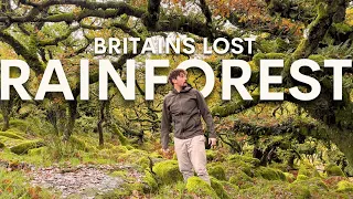 I Explored the UK's Rarest Habitat & found something amazing...