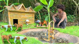 Build Dog House Fish Pond For Rescue Dog Rescue - House Builder TV