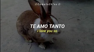 The Golden Orchesta - Bunny, Bunny, Bunny [Lyrics / Sub Español]