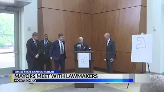 Mayors meet with lawmaker
