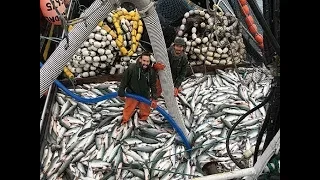 Increíble Barco De Pesca De Arrastre De Captura Grande Del Mundo