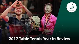 2017 Table Tennis Year in Review