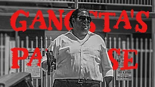 War Dogs - GANGSTA'S PARADISE - Jonah Hill - Edit