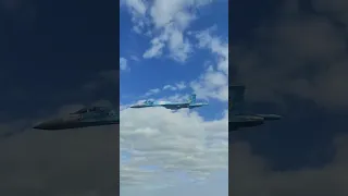 ⚡️⚡️ВРАЖАЄ! Український Су-27 пролетів на наднизькій висоті #shorts