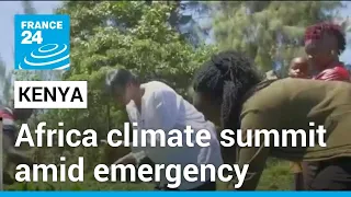 Africa climate summit 2023: A new global financial architecture to help green growth • FRANCE 24