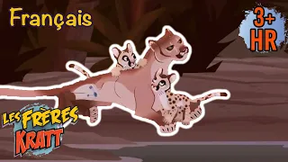 Les plus grandes mamans animaux [épisodes complets] Les Frères Kratt