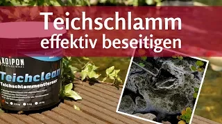 Teichschlamm entfernen – leicht gemacht