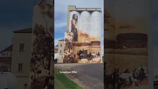 What an iconic poem!  "My Country" Dorothea Mackellar silo art Gunnedah #caravanning #australia