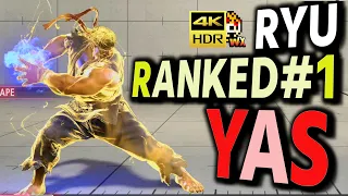 SF6: YAS  Ryu Ranked No1  VS Ryu | sf6 4K Street Fighter 6