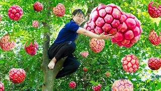 Harvesting Red Na, Making Meat Dumplings Go to the market sell | Luyến - Harvesting