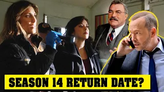 Blue Bloods Season 14: Bittersweet News and the Reagan Family's Return Revealed Amid Actors' Strike