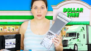 10 Insane NEW Dollar Tree Organizing Finds: Dollar Must Haves