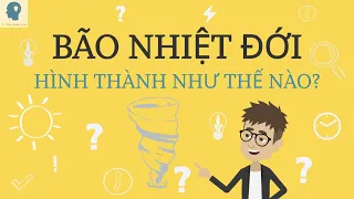 Bão nhiệt đới được hình thành như thế nào? | Bão nhiệt đới là gì? | Tri thức nhân loại