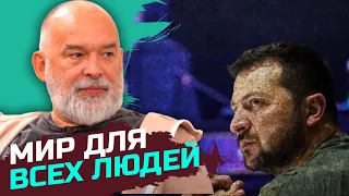 Мирный план Зеленского касается не только Украины, но и всего мира – Михаил Шейтельман