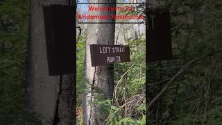 Hiking Tioga State Forest 3/2024