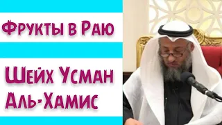 Фрукты в Раю. Шейх Усман аль-Хамис