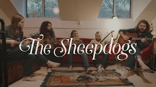 The Sheepdogs - Old man (Neil Young Cover)