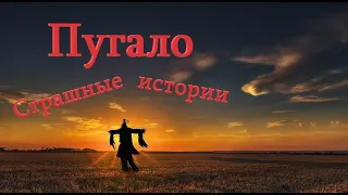 Пугало | Страшные истории