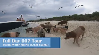 Exuma Water Sports Full Day Excursion (Iguanas, Swimming Pigs, Sharks, Thunderball Grotto)