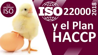 GUÍA DEFINITIVA ISO 22000:2018 Sistema de Inocuidad Alimentaria con 7 Principios HACCP - APPCC