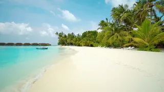 Maldives relaxing chill out for 15 minutes 🏝💎