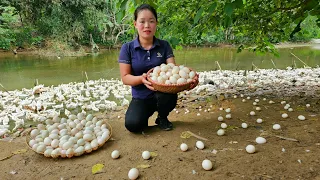 Life alone: Harvesting Duck Eggs Goes to the market to sell - Cooking | Trieu Mai Huong