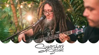 Bumpin Uglies - Island Time (Live Music) | Sugarshack Sessions