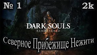 Атмосферное прохождение Dark Souls Remastered 🔶 № 1 Северное Прибежище Нежити 🔶 Демон Прибежища 🔶 2k