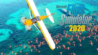 Microsoft Flight Simulator  - Official Gameplay Trailer | X019 Most Realistic Graphics