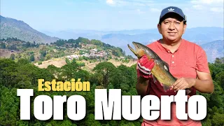 Explorando la belleza de TORO MUERTO el corazón de la Sierra ¿Imposible entrar? 🤔