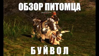 Обзор питомца - Буйвол. Lineage 2 Essence Fluffy Reinforcement